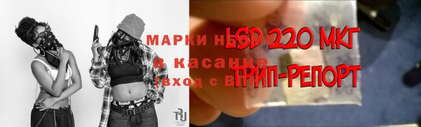 твердый Алзамай