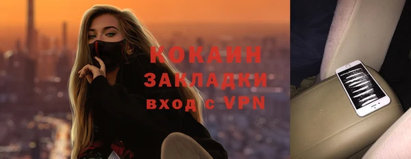 хмурый Няндома