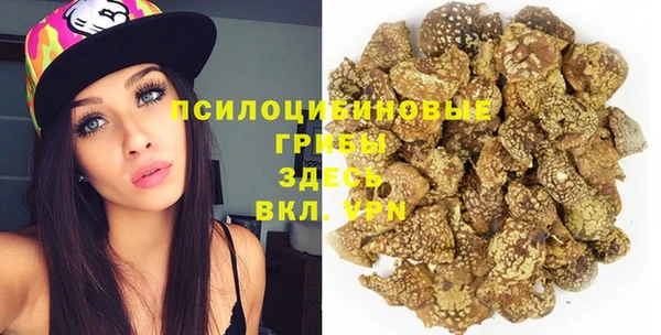 spice Абаза
