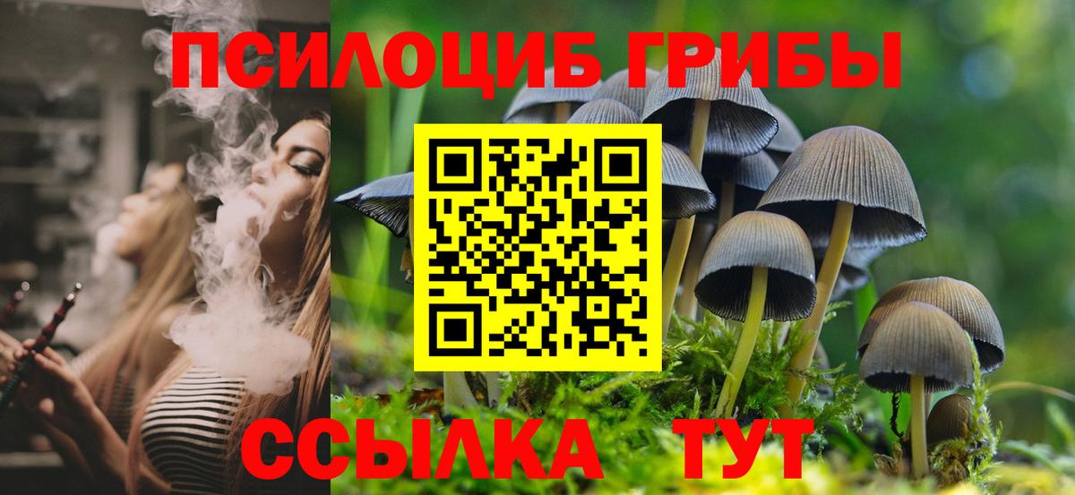 Псилоцибиновые грибы Psilocybe  Псилоцибиновые грибы Cubensis  Стрежевой  Вход с VPN 