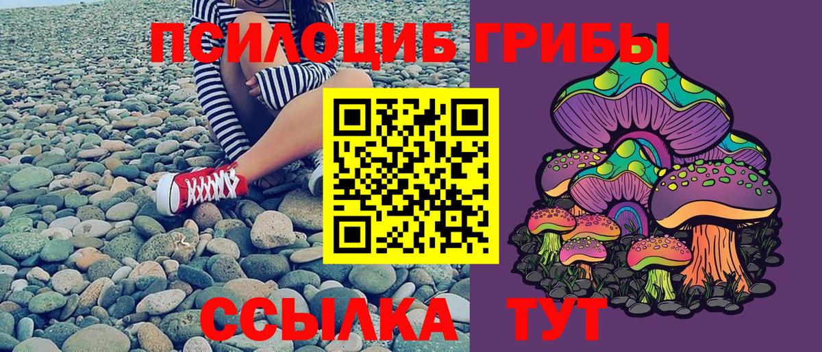 Псилоцибиновые грибы прущие грибы Стрежевой